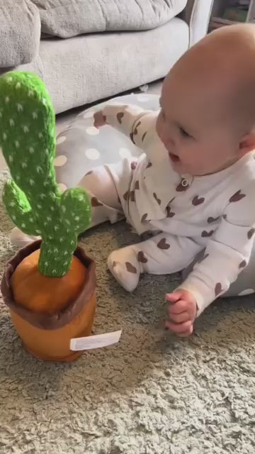 The Dancing & Talking Cactus